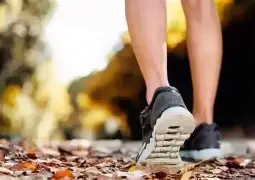 步行者胜过太阳，稳居东部前八